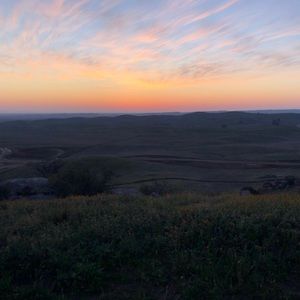 Meet your Posher, Kalissa